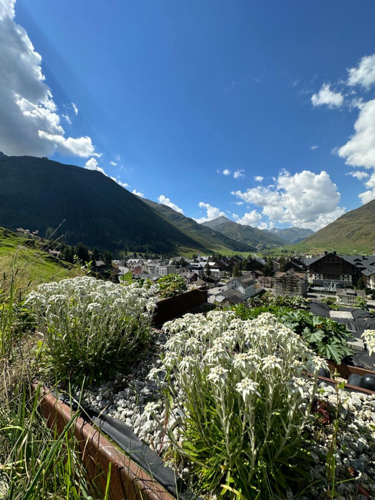Basecamp Andermatt
